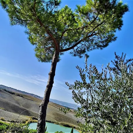 Agriturismo Palazzo Conti - B Villa Pienza Exterior photo